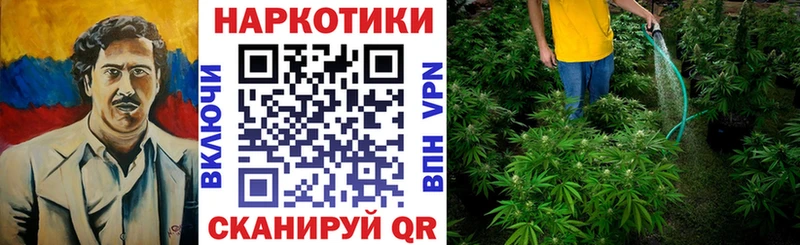 Где купить Волгоград Гашиш  Конопля  Псилоцибиновые грибы  Мефедрон  Кокаин 