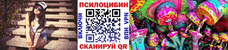 Галлюциногенные грибы MAGIC MUSHROOMS  продажа наркотиков  Волгоград 